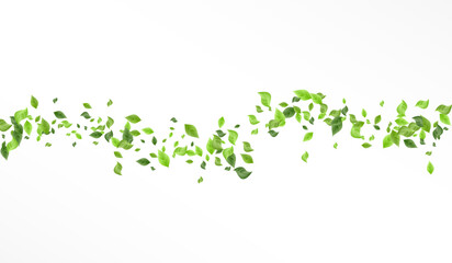 Green Greenery Herbal Vector White Background - obrazy, fototapety, plakaty