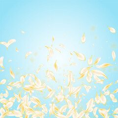 Fototapeta na wymiar Beige Floral Tender Vector Blue Background. Gold