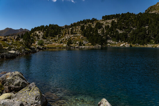 Estany de la Gemena