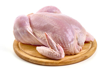 Raw whole chicken broiler, isolated on white background.