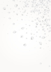 Delicate Blossom Vector Light Background. Pastel