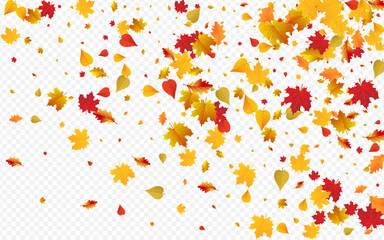 Green Foliage Vector Transparent Background.