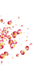 Pink Peach Flying Vector White Background. Fall