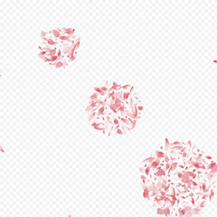 White Apple Vector Transparent Background. Tree
