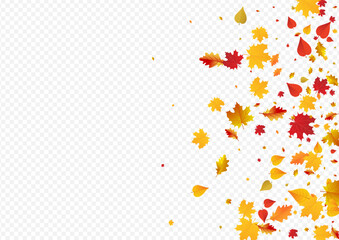 Yellow Leaf Vector Transparent Background.