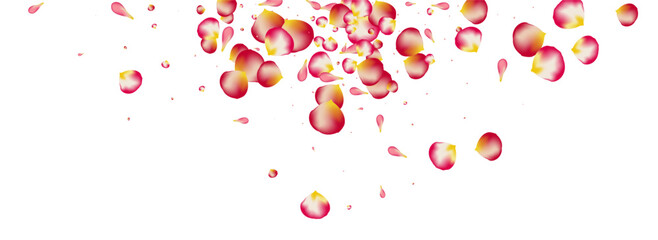Red Sakura Spring Vector Panoramic White