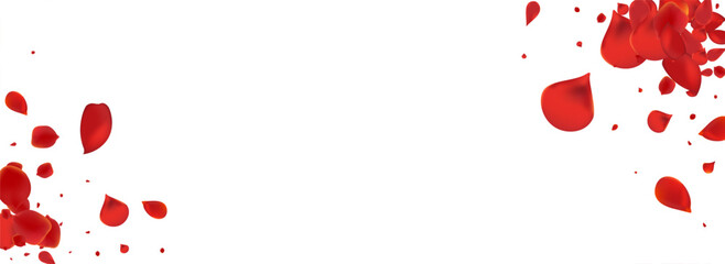 Beautiful Flower Fall Vector Panoramic White