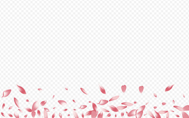 Bright Tree Vector Transparent Background. Bloom