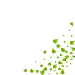 Fototapeta premium Swamp Leaves Falling Vector White Background