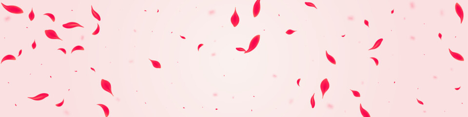 Red Lotus Vector Pink Panoramic Background. Fly
