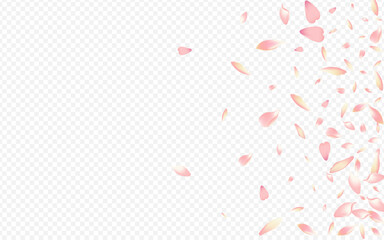 Light Apple Vector Transparent Background. Bloom