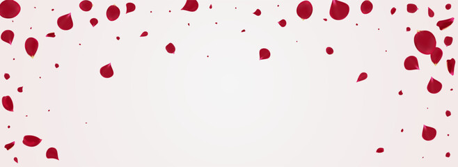 Delicate Sakura Japan Vector Panoramic White