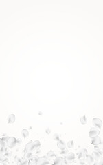 Gray Sakura Vector Light Background. White Flying