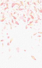 Pink Blossom Vector Transparent Background. Rose