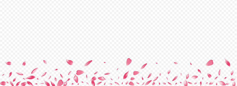 White Apple Petal Vector Panoramic Background.