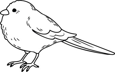 Simple and adorable Long-tailed tit illustration with outlines only