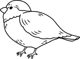 Simple and adorable Sparrow illustration with only outlines