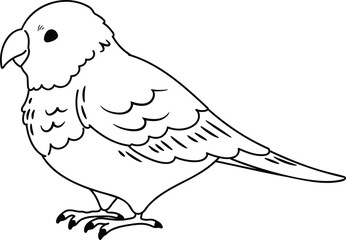 Simple and adorable Parakeet illustration with only outlines