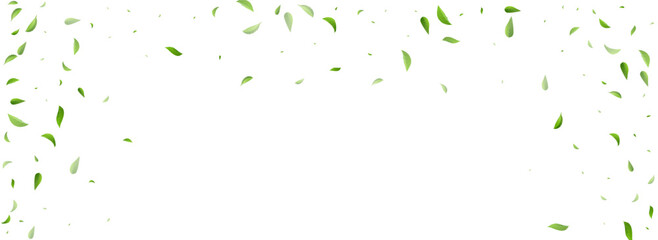 Green Greens Fly Vector Panoramic White - obrazy, fototapety, plakaty