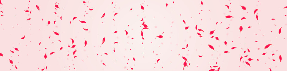Carmine Floral Vector Pink Panoramic Background.