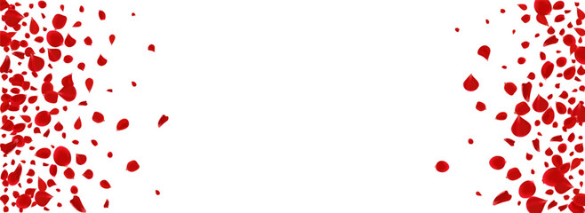 Obraz premium Pink Rose Japanese Vector Panoramic White