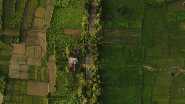 Aerial shot of Indian highway surrounded by green fields. 