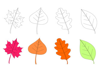 Autumn leaves and berries. Hand drawn autumn forest leaves set, Set of Autumn Leafs