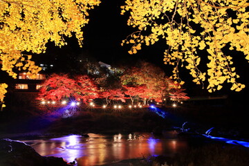 東京都青梅市御岳渓谷の紅葉ライトアップ