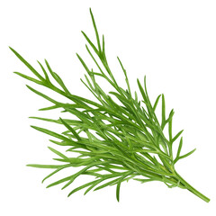 Dill isolated on white background, full depth of field