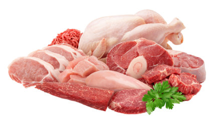 Meat assortment, different raw meat isolated on white background, full depth of field