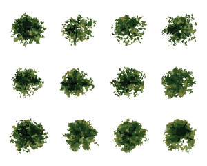 vector top view of trees and bushes vector illustrations set. landscape elements for garden, park or forest, plants	