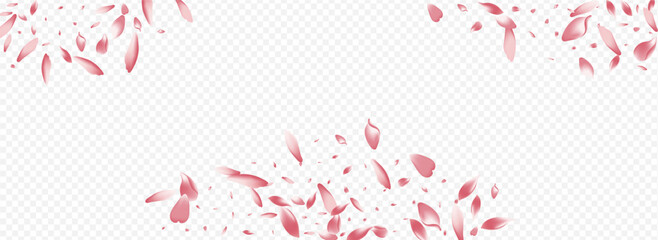 Bright Blooming Vector Panoramic Transparent