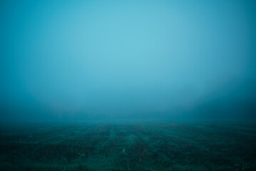 Fototapeta na wymiar Panorama of the meadow on a foggy morning