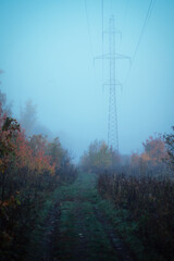 A high-voltage tower and power lines along a village road in the morning fog