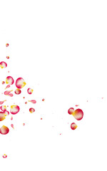 Red Petal Tender Vector White Background. Fly