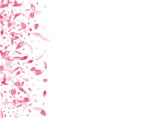 White Peach Petal Vector White Background. Pink