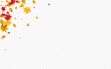 Autumnal Floral Vector Transparent Background.