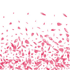 Pastel Cherry Petal Vector White Background.