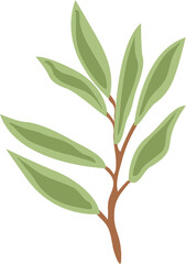 green leaves isolated on white