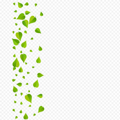 Green Leaves Flying Vector Transparent Background