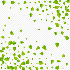 Grassy Greens Realistic Vector Transparent