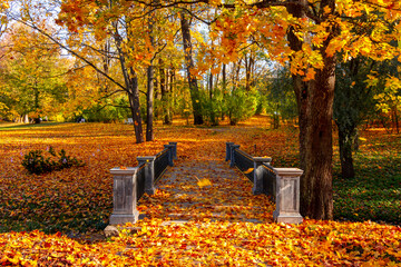 Small bridge in Catherine park in autumn, Pushkin (Tsarskoe Selo), St. Petersburg, Russia