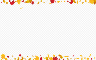 Orange Leaf Vector Transparent Background. Nature