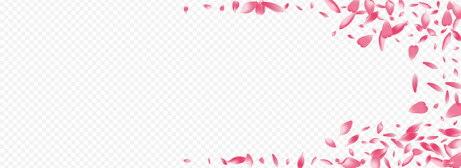 Purple Blooming Vector Panoramic Transparent