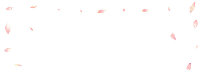Fototapeta na wymiar Pastel Rose Petal Vector White Background. Pink