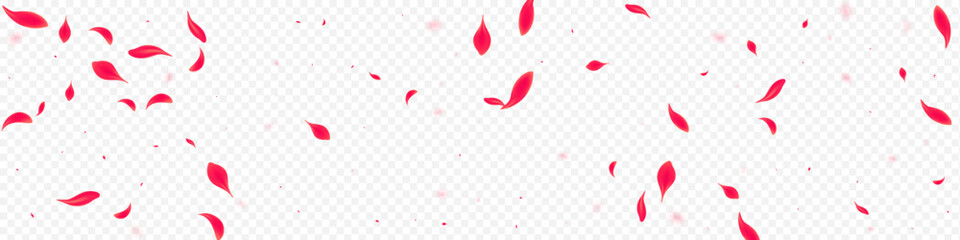 Red Floral Vector Transparent Panoramic - obrazy, fototapety, plakaty