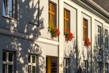 beautiful red flowers decorate the windows of the old building, beautiful flowers are illuminated by the rays of the warm sun, the play of light and shadows on the old building