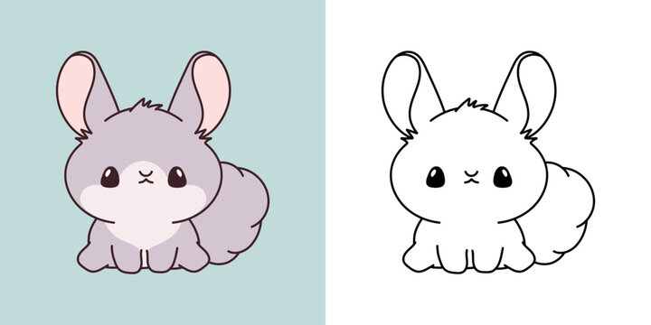 Kawaii Clipart Chinchilla Illustration and For Coloring Page. Funny Kawaii Baby Rodent. Cute Vector Illustration of a Kawaii Pet for Stickers, Baby Shower, Coloring Pages