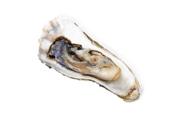Naklejka premium Fresh raw oyster on white or invisible png background top view