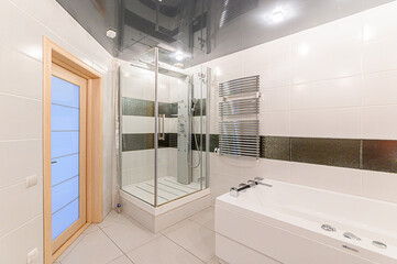 interior apartment room bathroom, sink, decorative elements, toilet